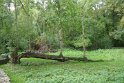 2019-09-26 16-47-53 Circuit Moulin a Maree DLe